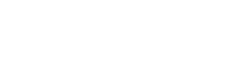 Reincubate logo